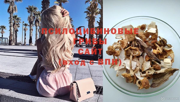 jwh Новокубанск