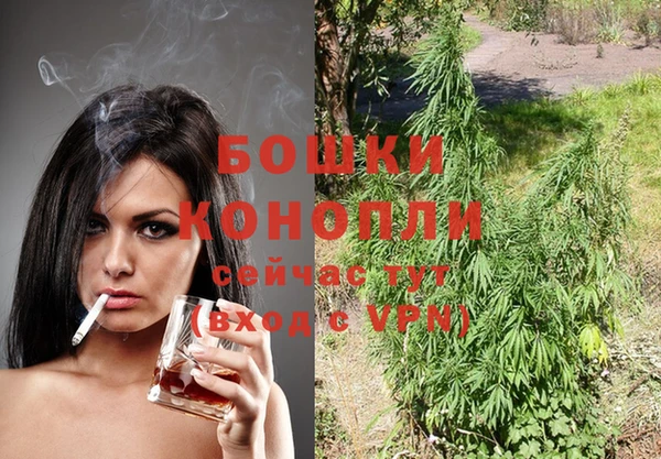 каннабис Новодвинск